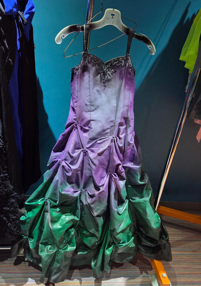 Spray-Painted Ball Gown (Mal's Coronation Dress)